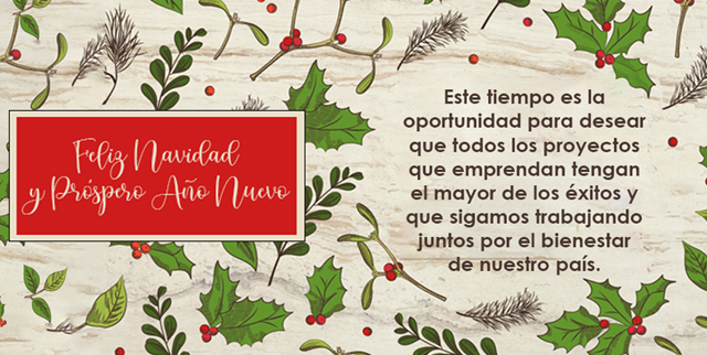 Banner Feliz Navidad