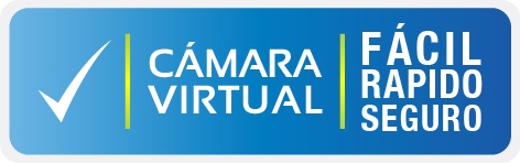 camara-virtual-label-azul