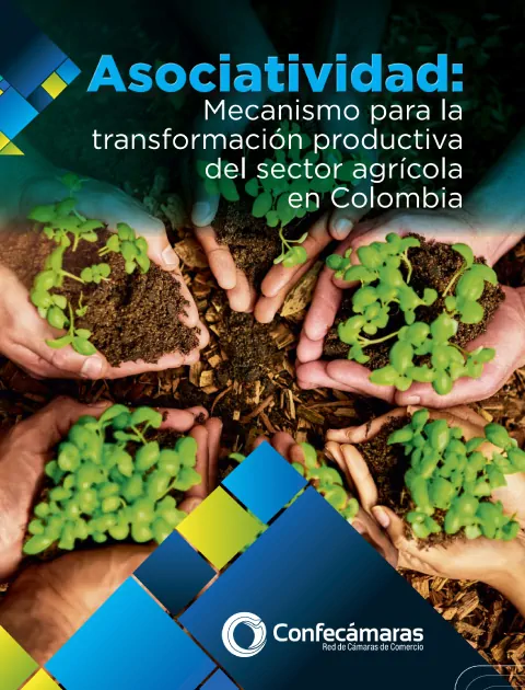 estudio asociatividad